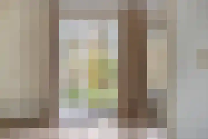 Grauwe Gans 24 Emmen thumbnail 7