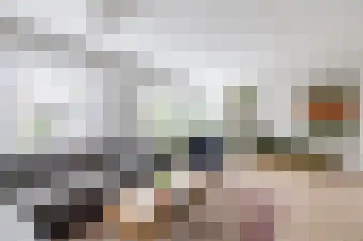 Grauwe Gans 30 Emmen thumbnail 10