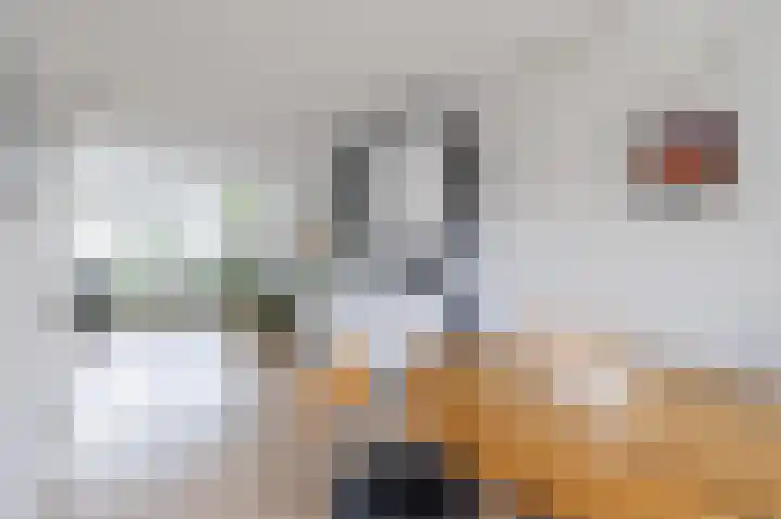 Grauwe Gans 30 Emmen thumbnail 11