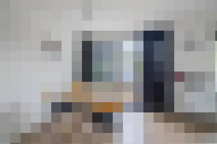 Grauwe Gans 30 Emmen thumbnail 12