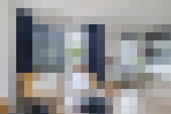 Grauwe Gans 30 Emmen thumbnail 13