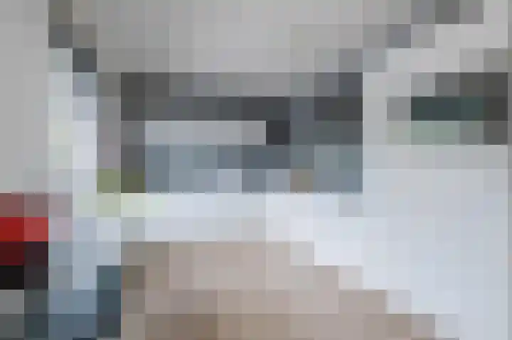 Grauwe Gans 30 Emmen thumbnail 14