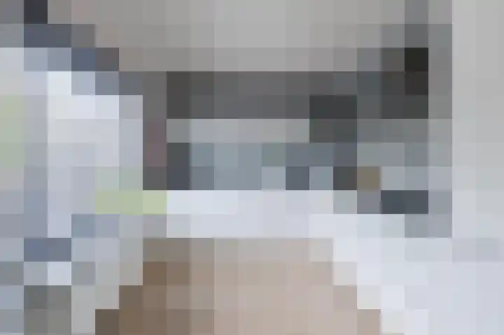 Grauwe Gans 30 Emmen thumbnail 15