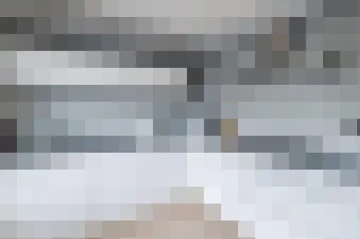 Grauwe Gans 30 Emmen thumbnail 16