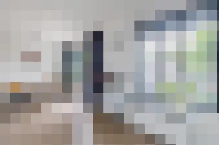 Grauwe Gans 30 Emmen thumbnail 18