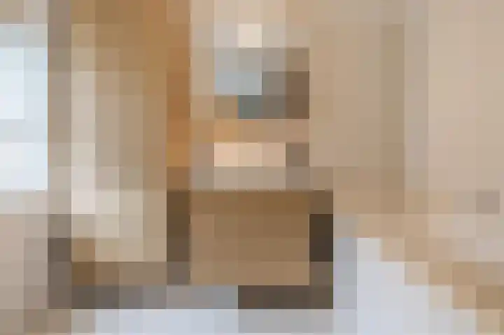 Grauwe Gans 30 Emmen thumbnail 23