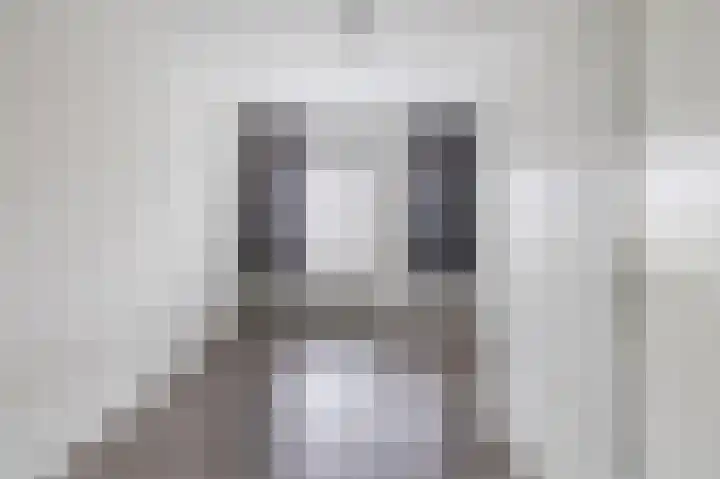 Grauwe Gans 30 Emmen thumbnail 27
