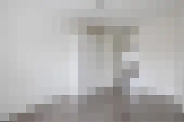 Grauwe Gans 30 Emmen thumbnail 29
