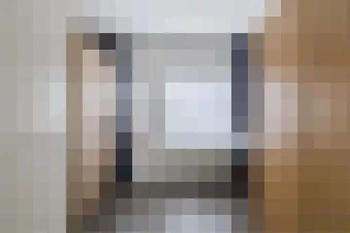 Grauwe Gans 30 Emmen thumbnail 30