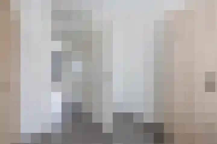 Grauwe Gans 30 Emmen thumbnail 32