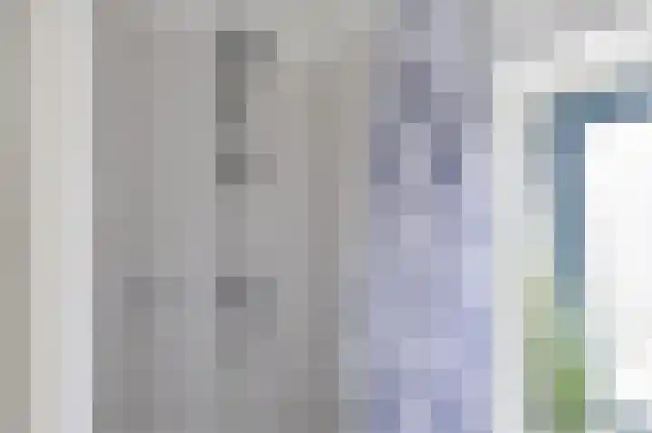 Grauwe Gans 30 Emmen thumbnail 34