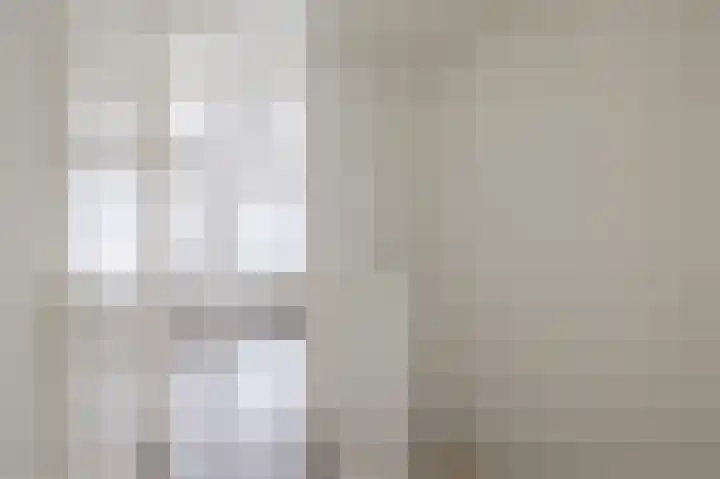 Grauwe Gans 30 Emmen thumbnail 36