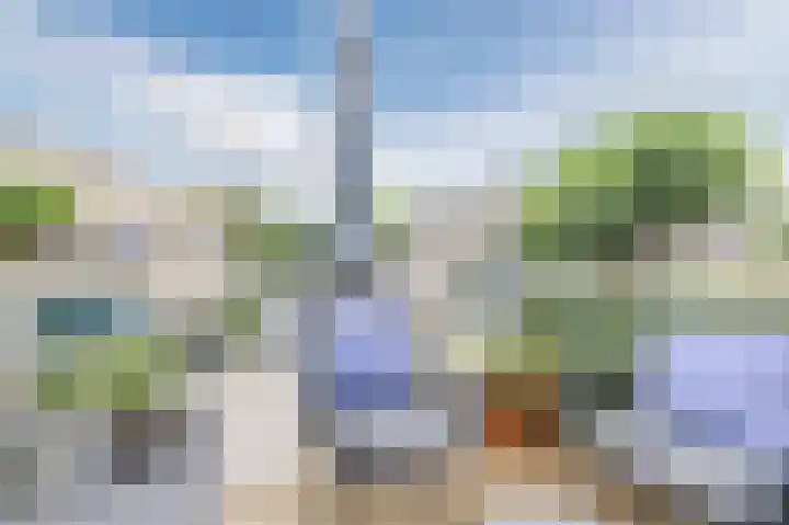 Grauwe Gans 30 Emmen thumbnail 37
