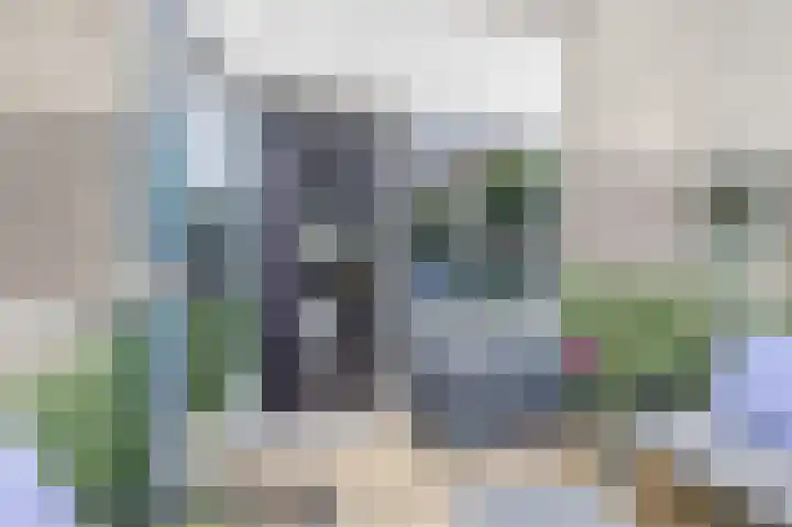 Grauwe Gans 30 Emmen thumbnail 38