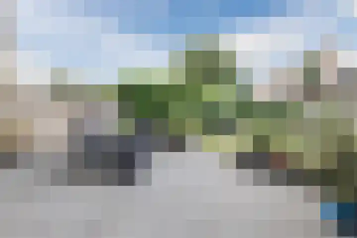 Grauwe Gans 30 Emmen thumbnail 39