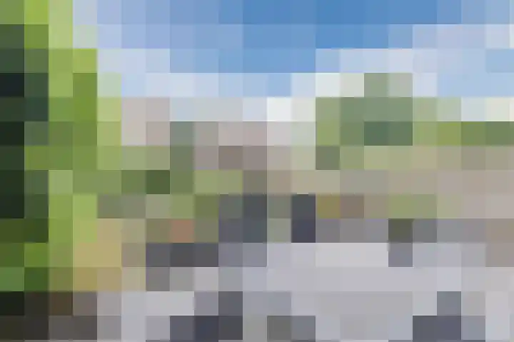 Grauwe Gans 30 Emmen thumbnail 40