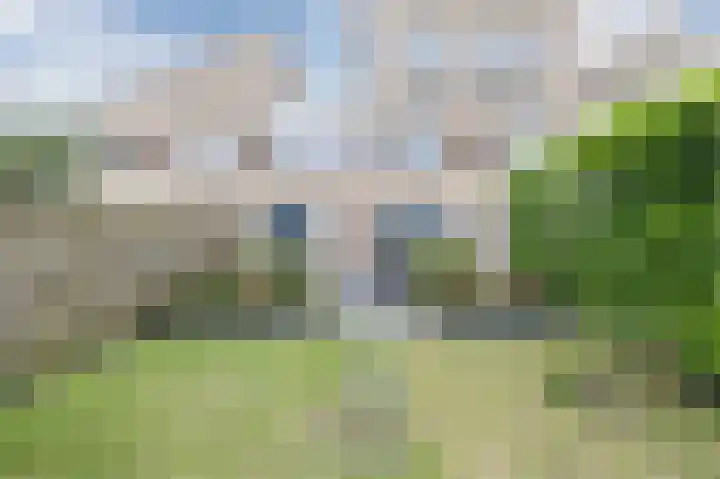 Grauwe Gans 30 Emmen thumbnail 41