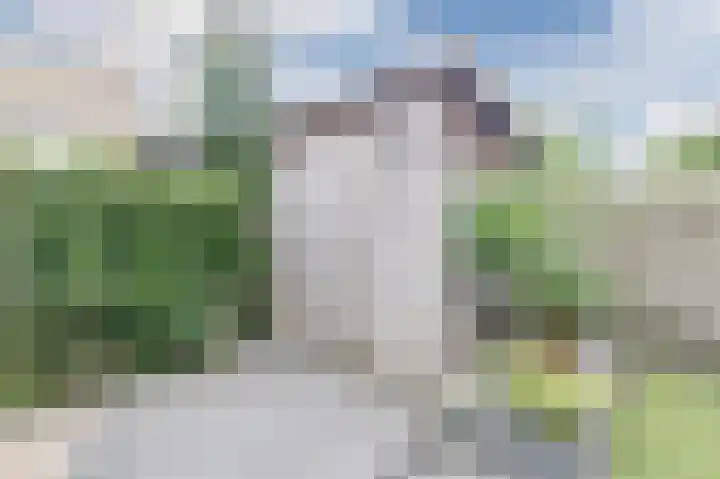 Grauwe Gans 30 Emmen thumbnail 42