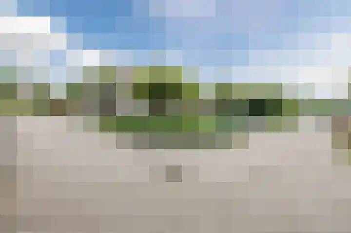 Grauwe Gans 30 Emmen thumbnail 43