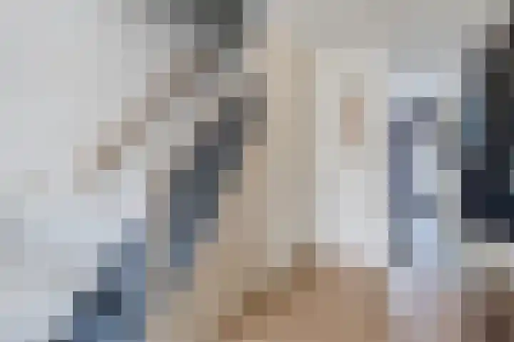 Grauwe Gans 30 Emmen thumbnail 5