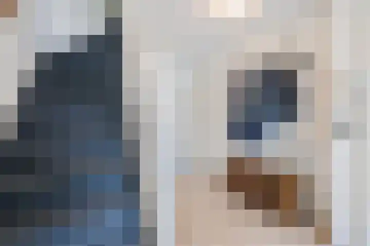 Grauwe Gans 30 Emmen thumbnail 6