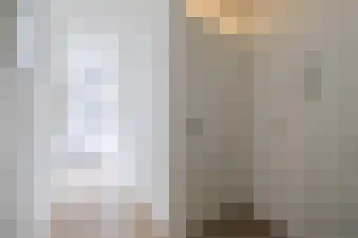 Grauwe Gans 30 Emmen thumbnail 7