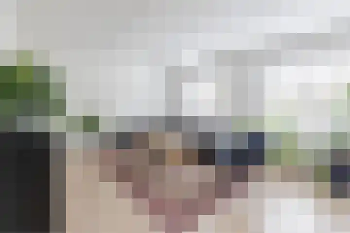 Grauwe Gans 30 Emmen thumbnail 8