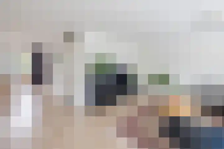 Grauwe Gans 30 Emmen thumbnail 9