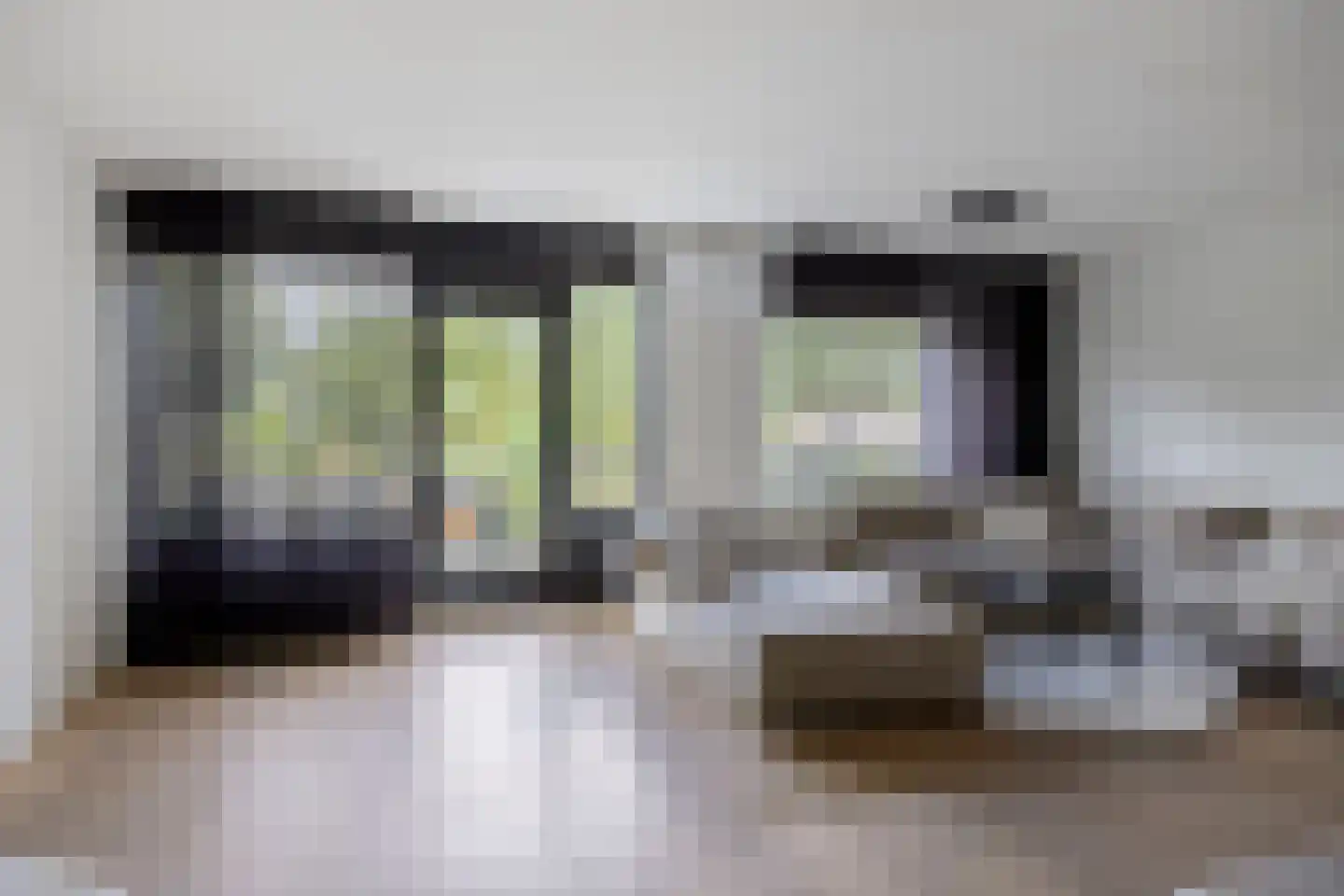 Grauwe Gans 39 Emmen thumbnail 12