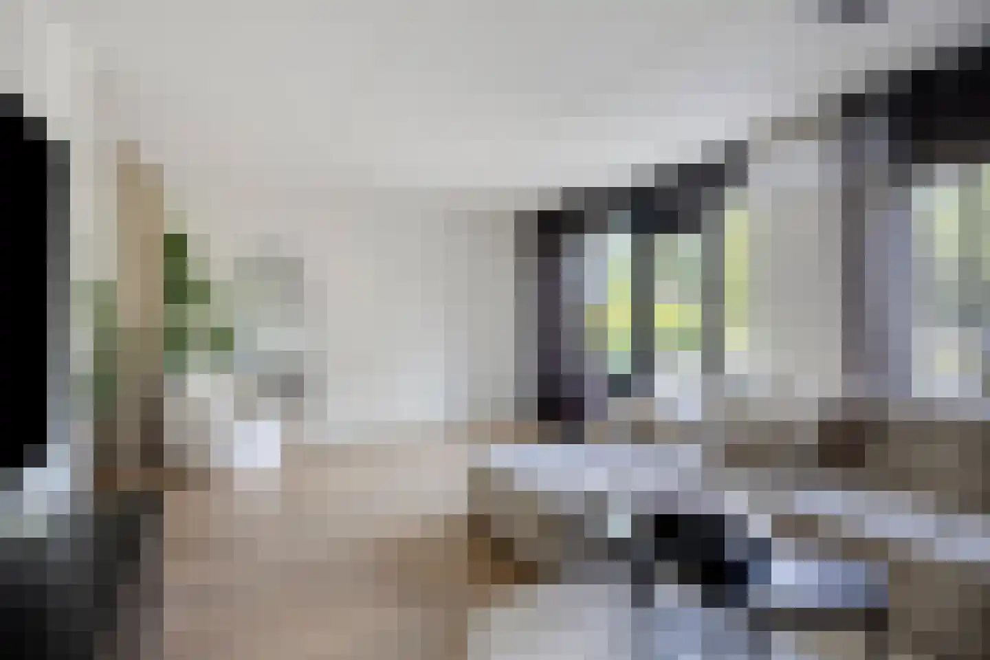 Grauwe Gans 39 Emmen thumbnail 14