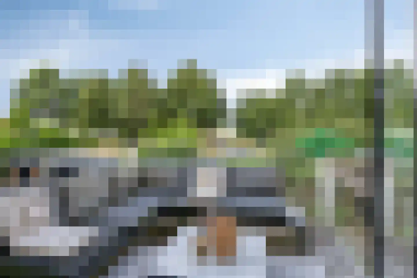 Grauwe Gans 39 Emmen thumbnail 16