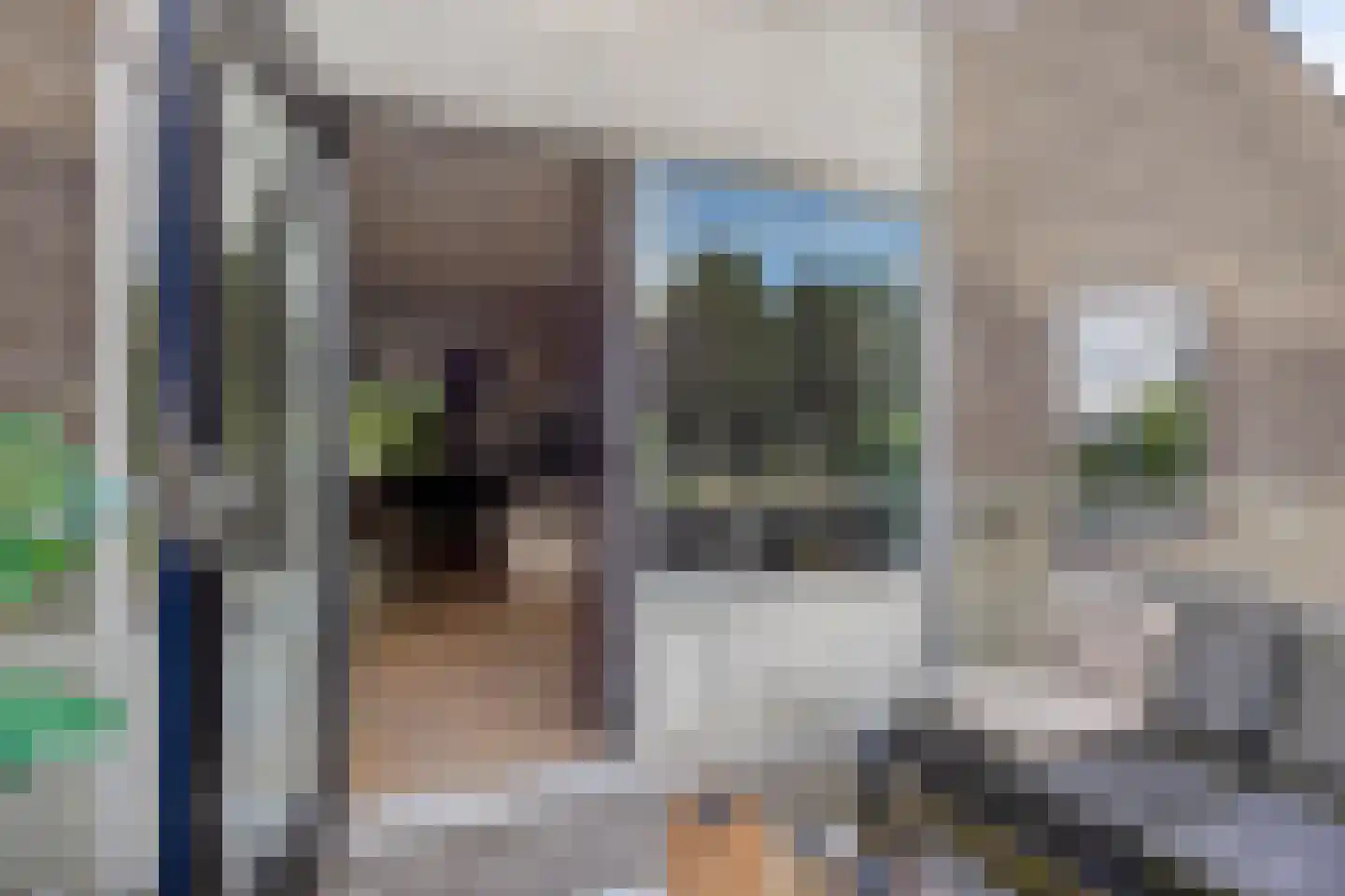 Grauwe Gans 39 Emmen thumbnail 17