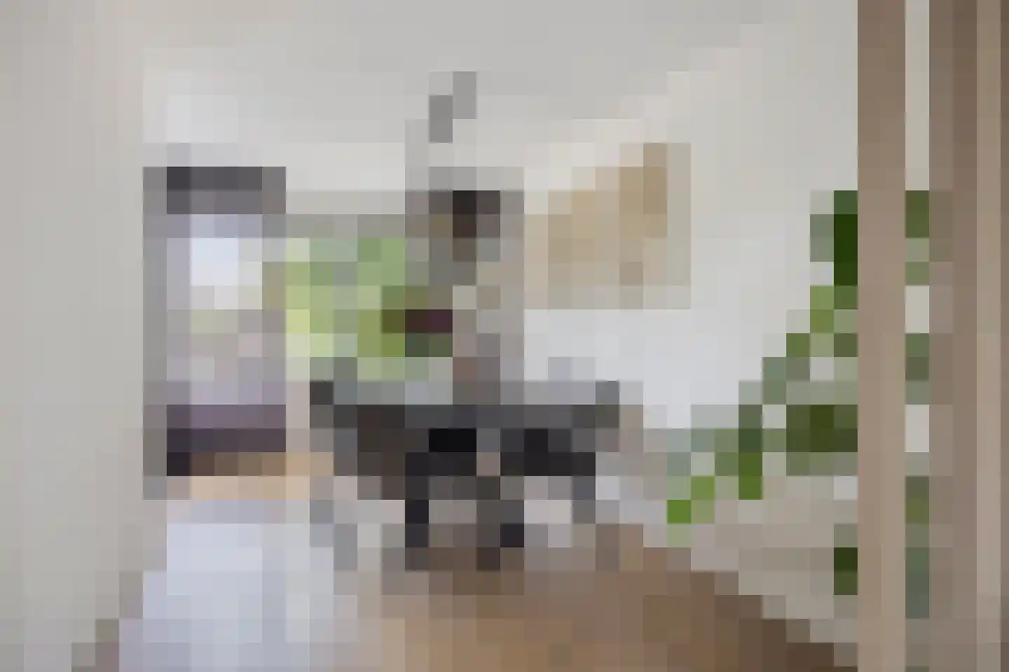 Grauwe Gans 39 Emmen thumbnail 19