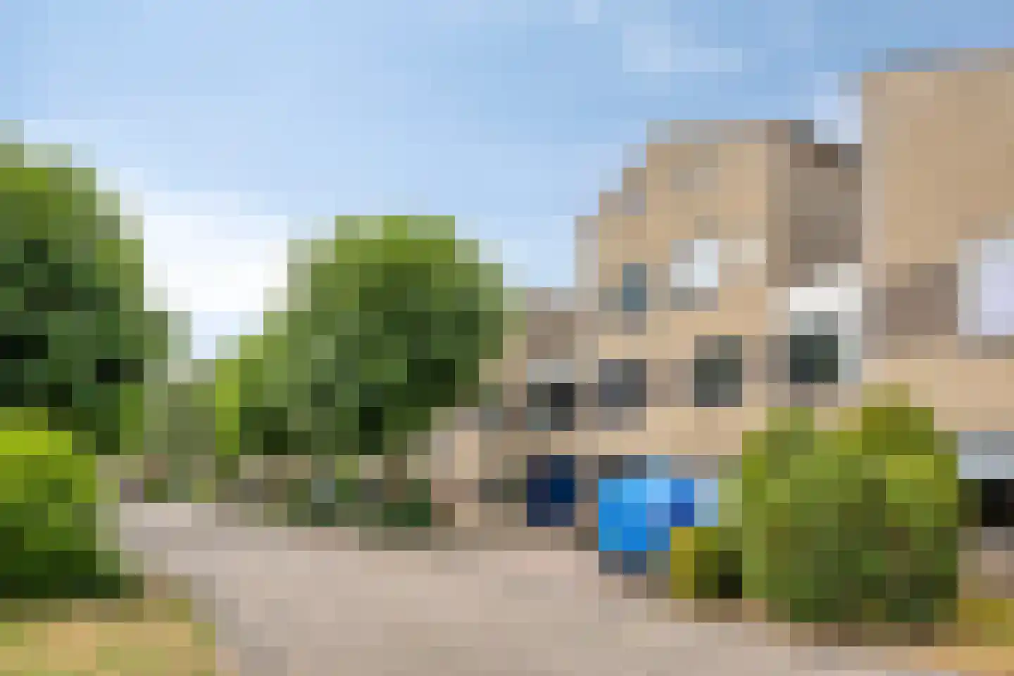 Grauwe Gans 39 Emmen thumbnail 29