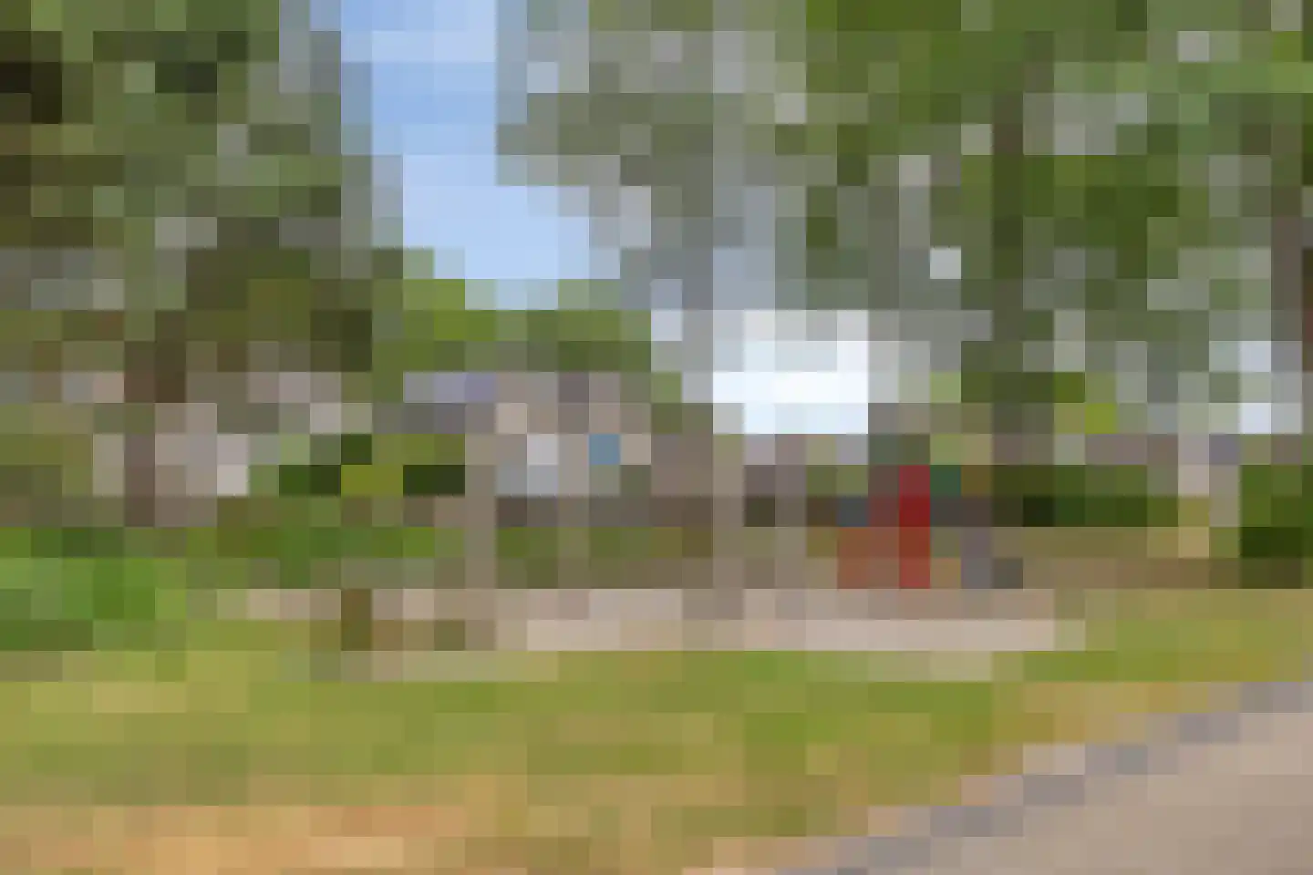 Grauwe Gans 39 Emmen thumbnail 30