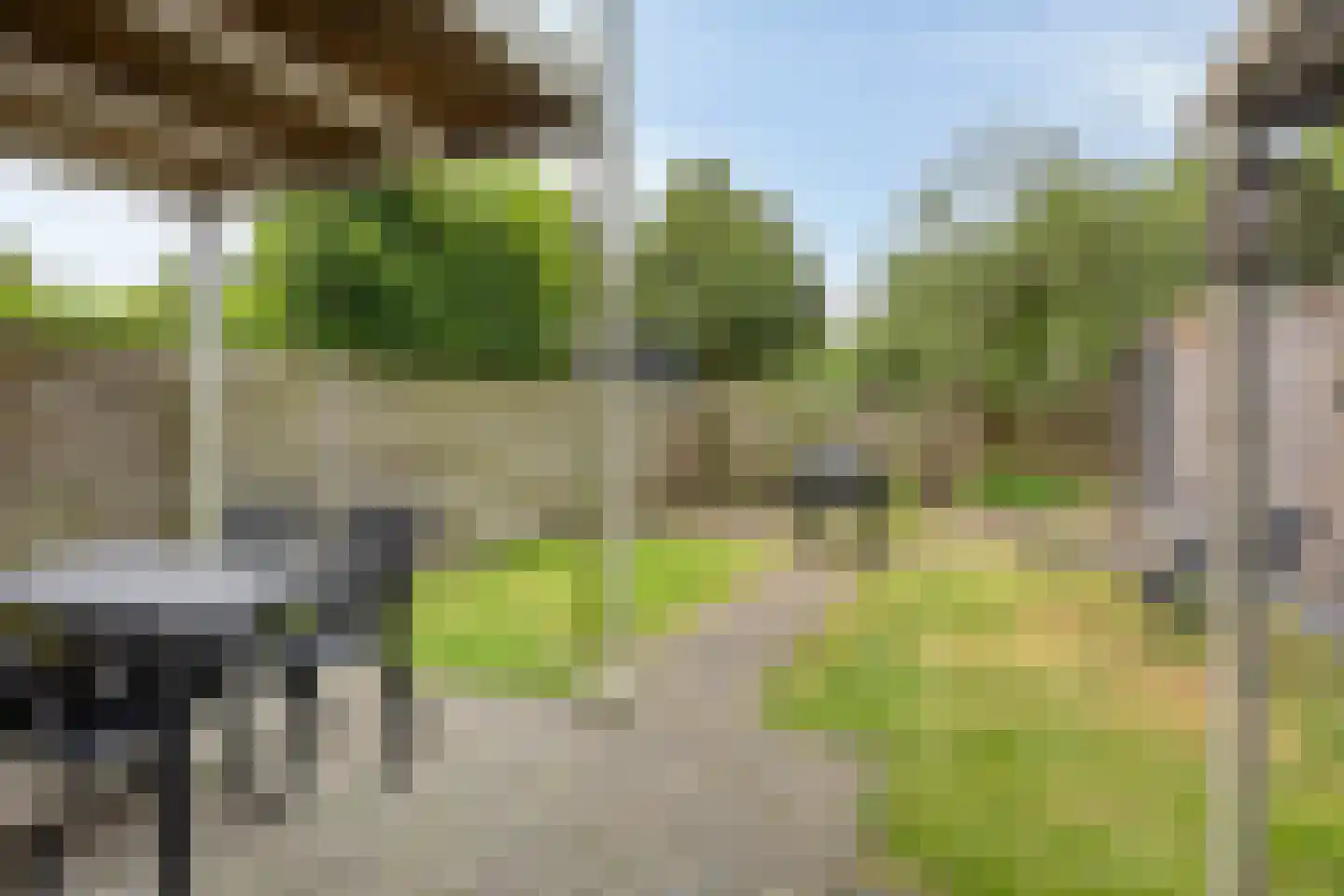 Grauwe Gans 39 Emmen thumbnail 8