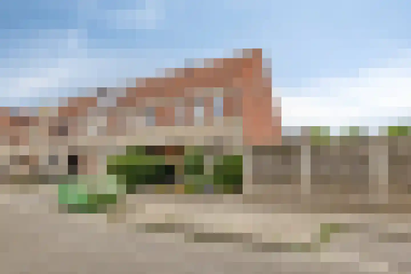 Grauwe Gans 42 Bergen op Zoom