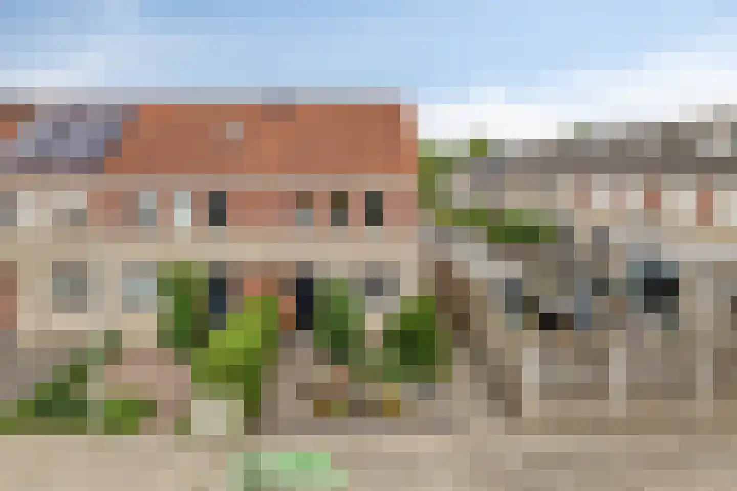Grauwe Gans 42 Bergen op Zoom