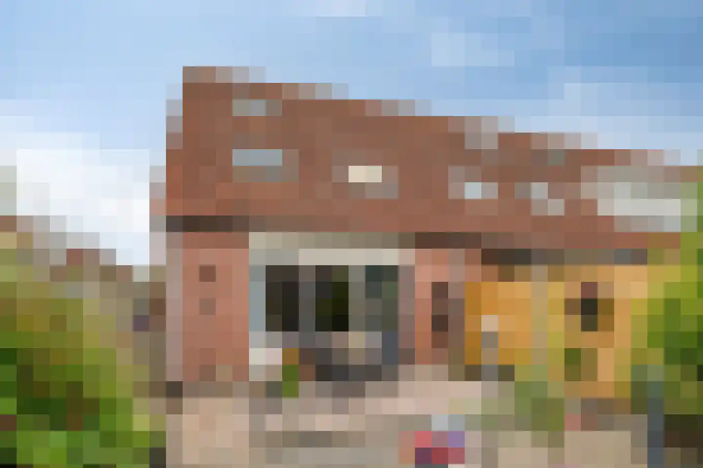 Grauwe Gans 42 Bergen op Zoom thumbnail 29