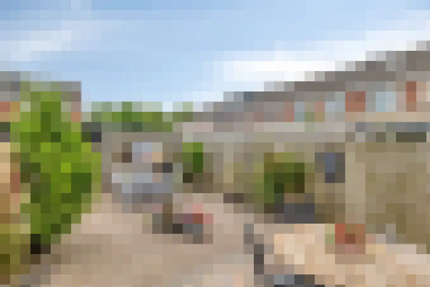 Grauwe Gans 42 Bergen op Zoom thumbnail 30
