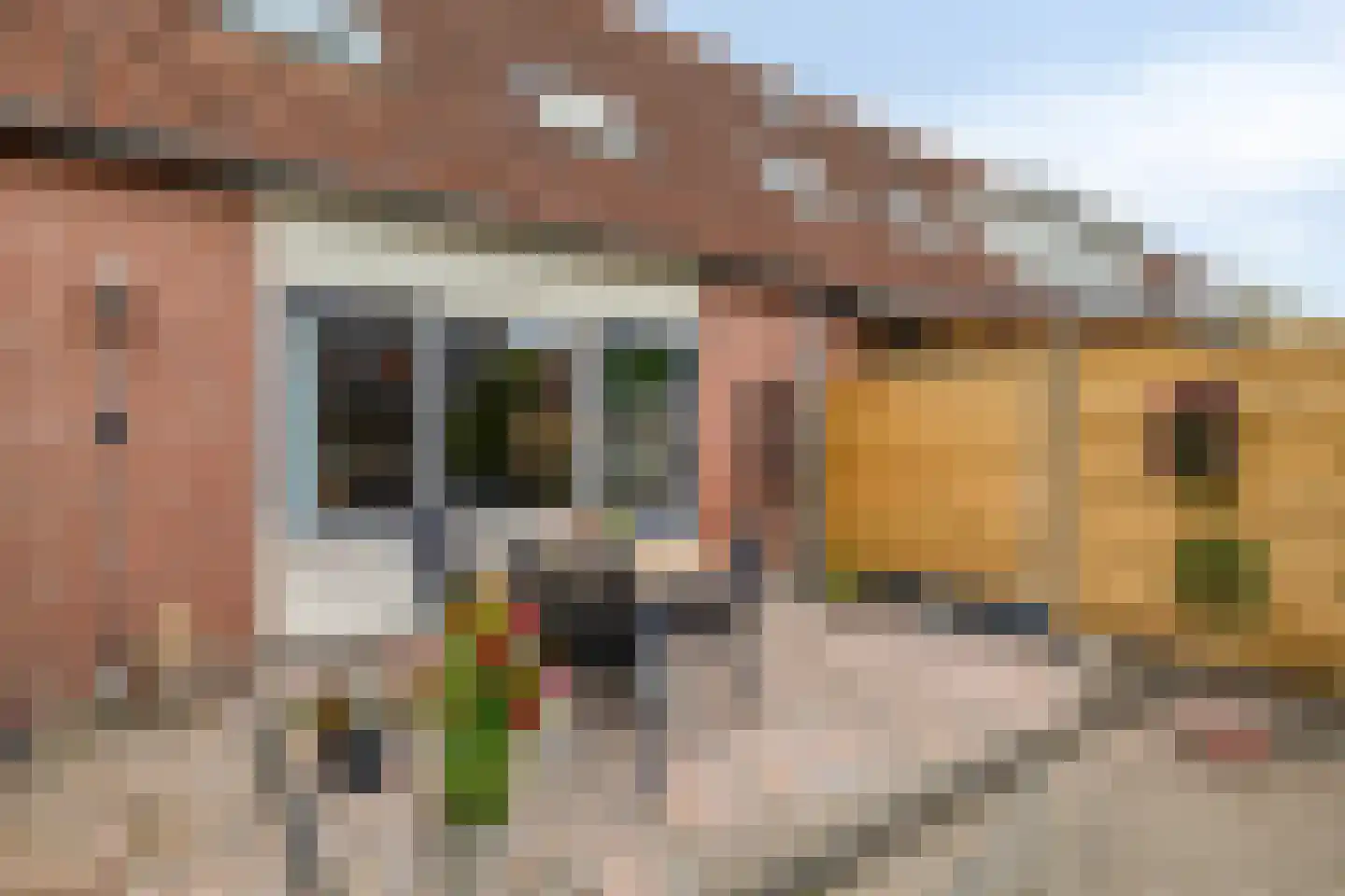 Grauwe Gans 42 Bergen op Zoom thumbnail 31
