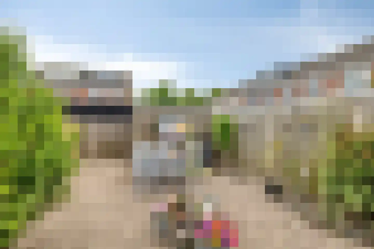 Grauwe Gans 42 Bergen op Zoom thumbnail 32