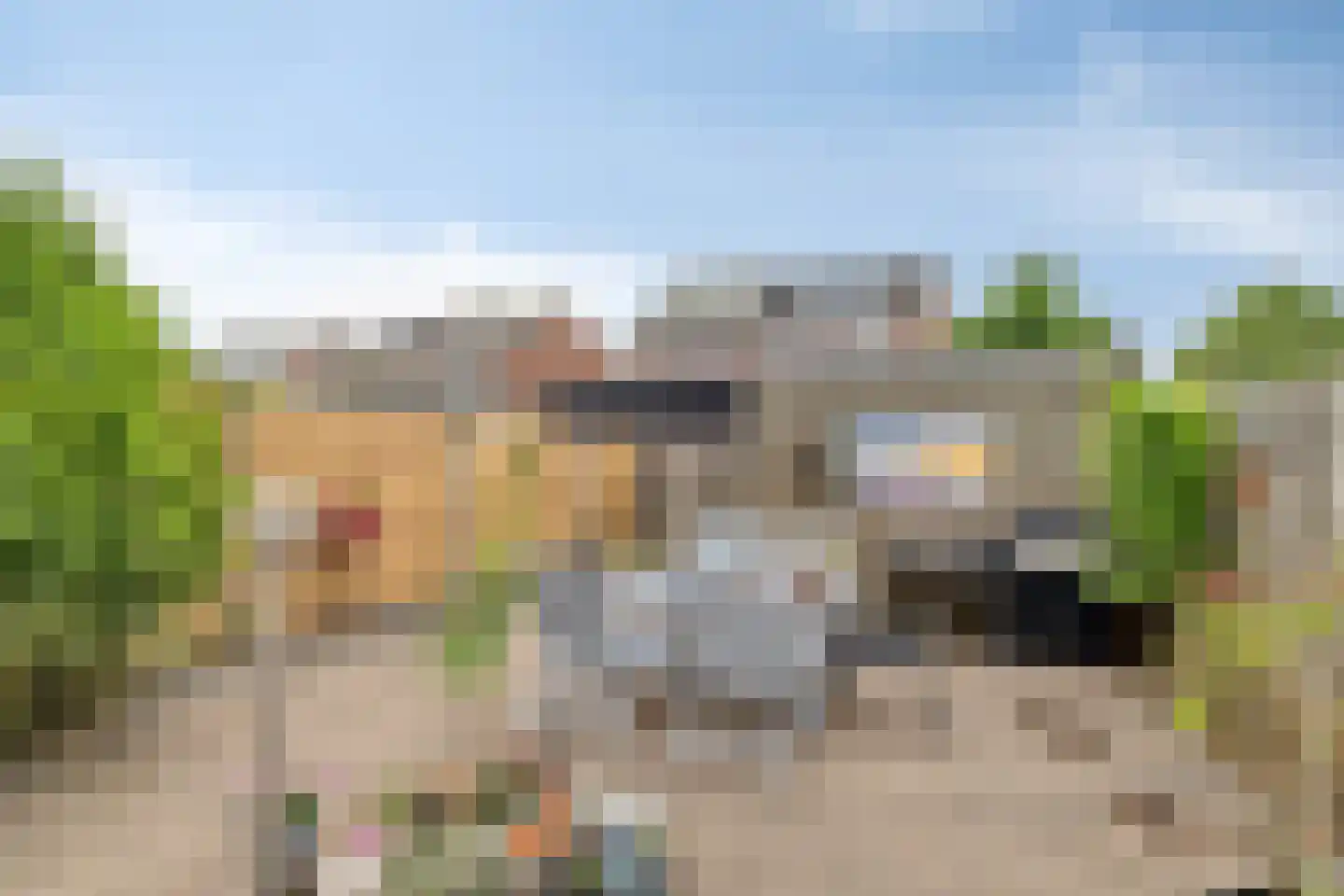 Grauwe Gans 42 Bergen op Zoom thumbnail 33