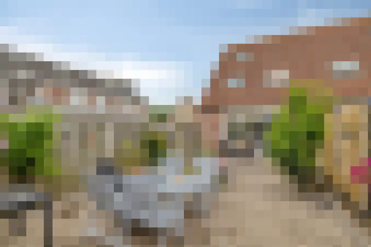 Grauwe Gans 42 Bergen op Zoom thumbnail 35