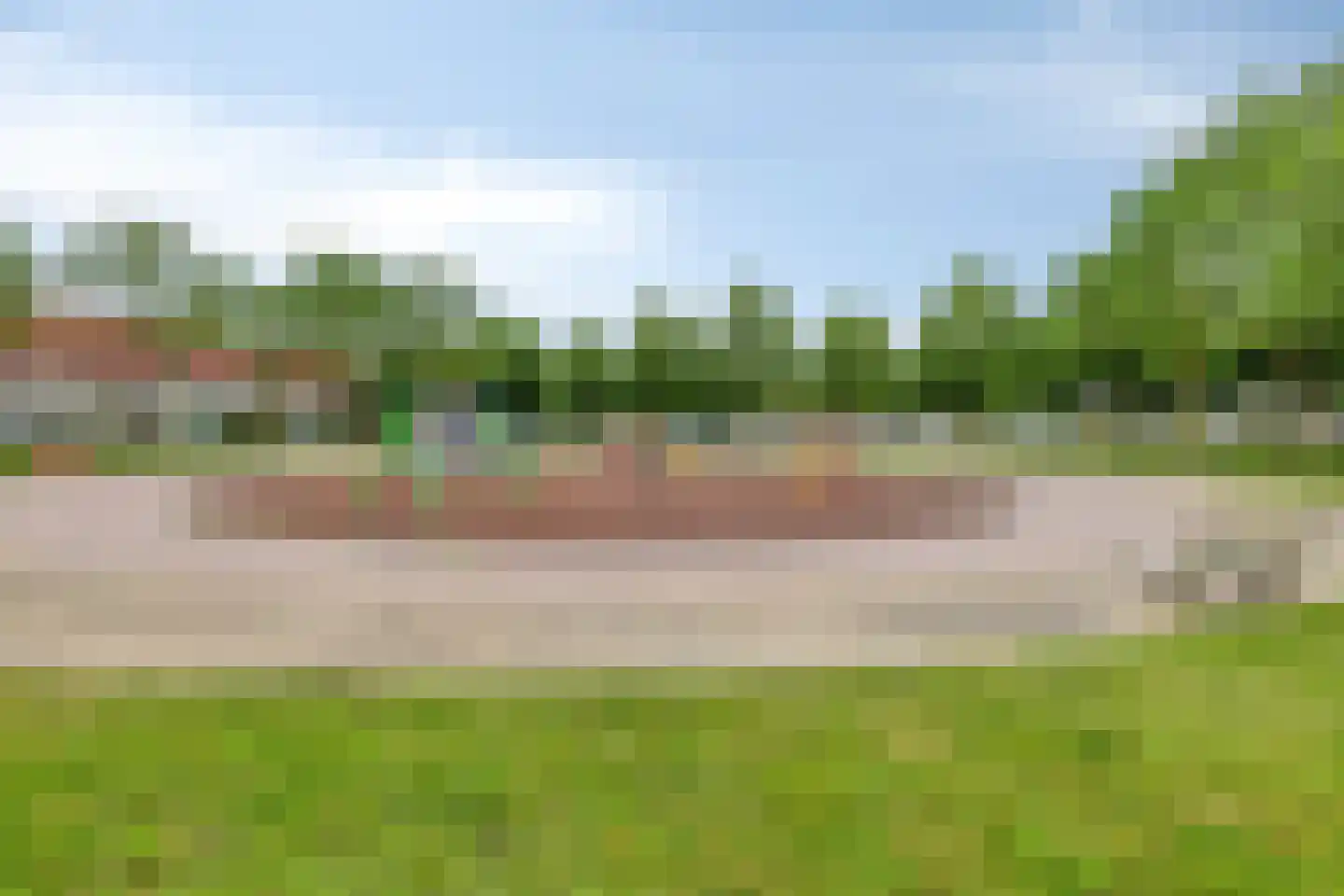Grauwe Gans 42 Bergen op Zoom thumbnail 36