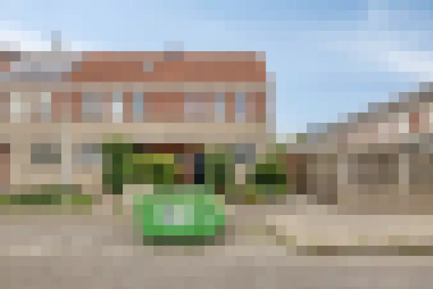 Grauwe Gans 42 Bergen op Zoom thumbnail 37