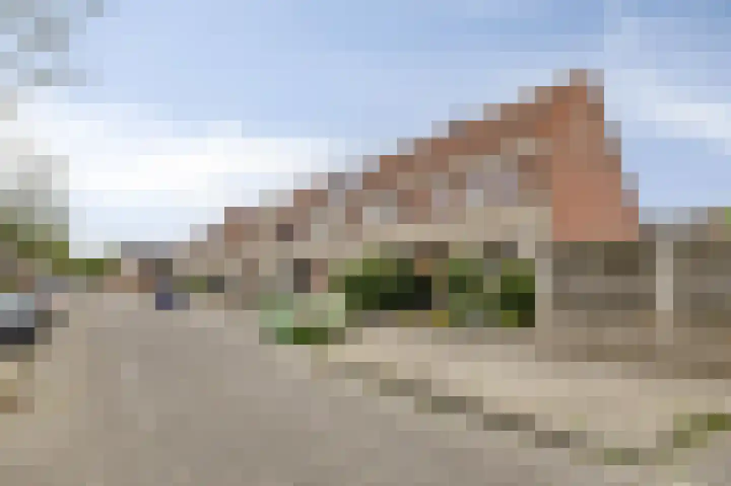 Grauwe Gans 42 Bergen op Zoom thumbnail 37