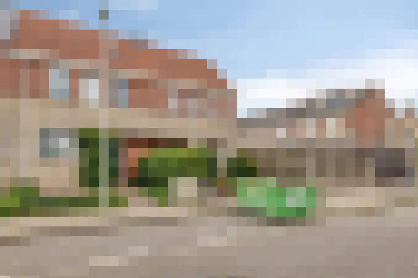 Grauwe Gans 42 Bergen op Zoom thumbnail 38