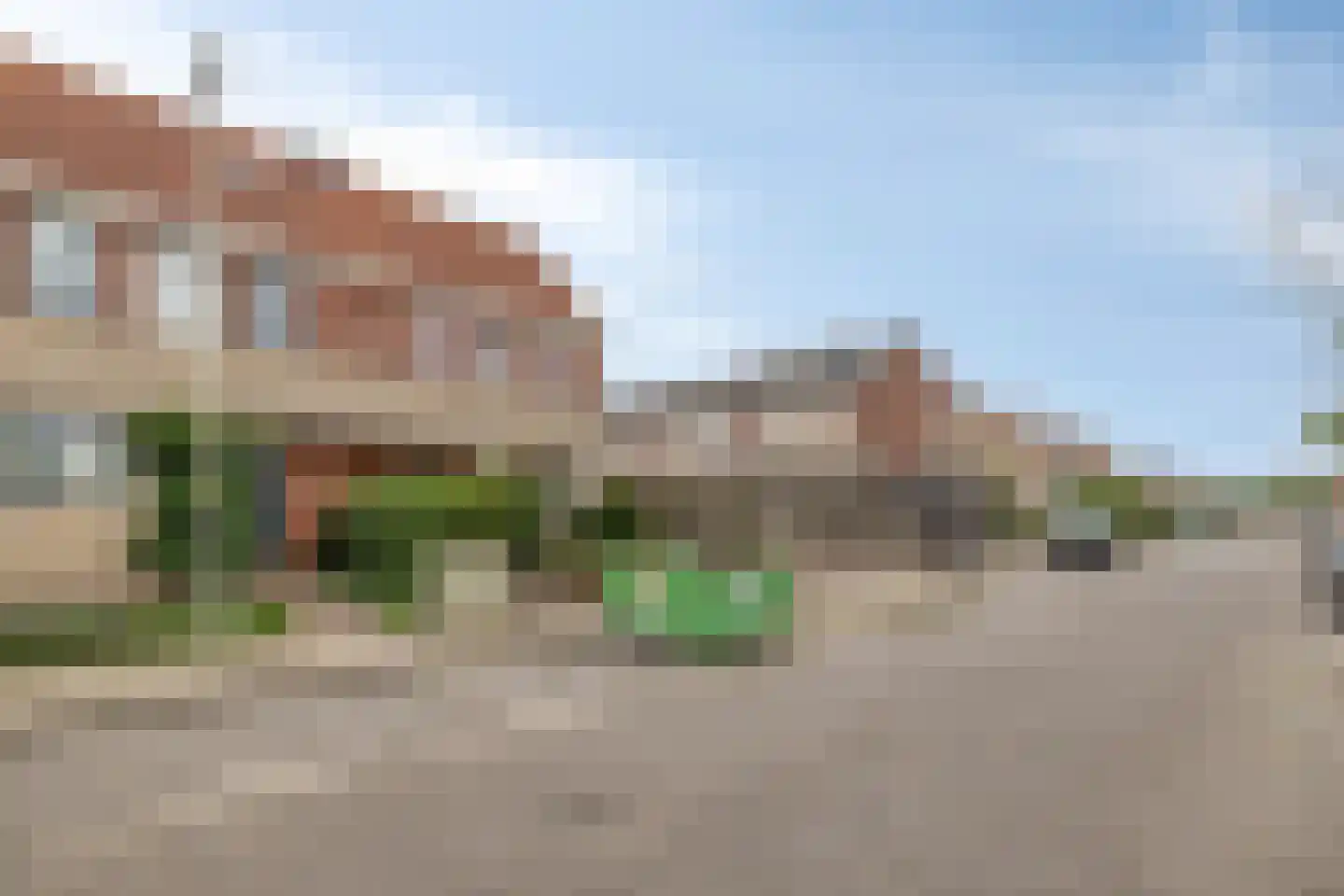 Grauwe Gans 42 Bergen op Zoom thumbnail 39