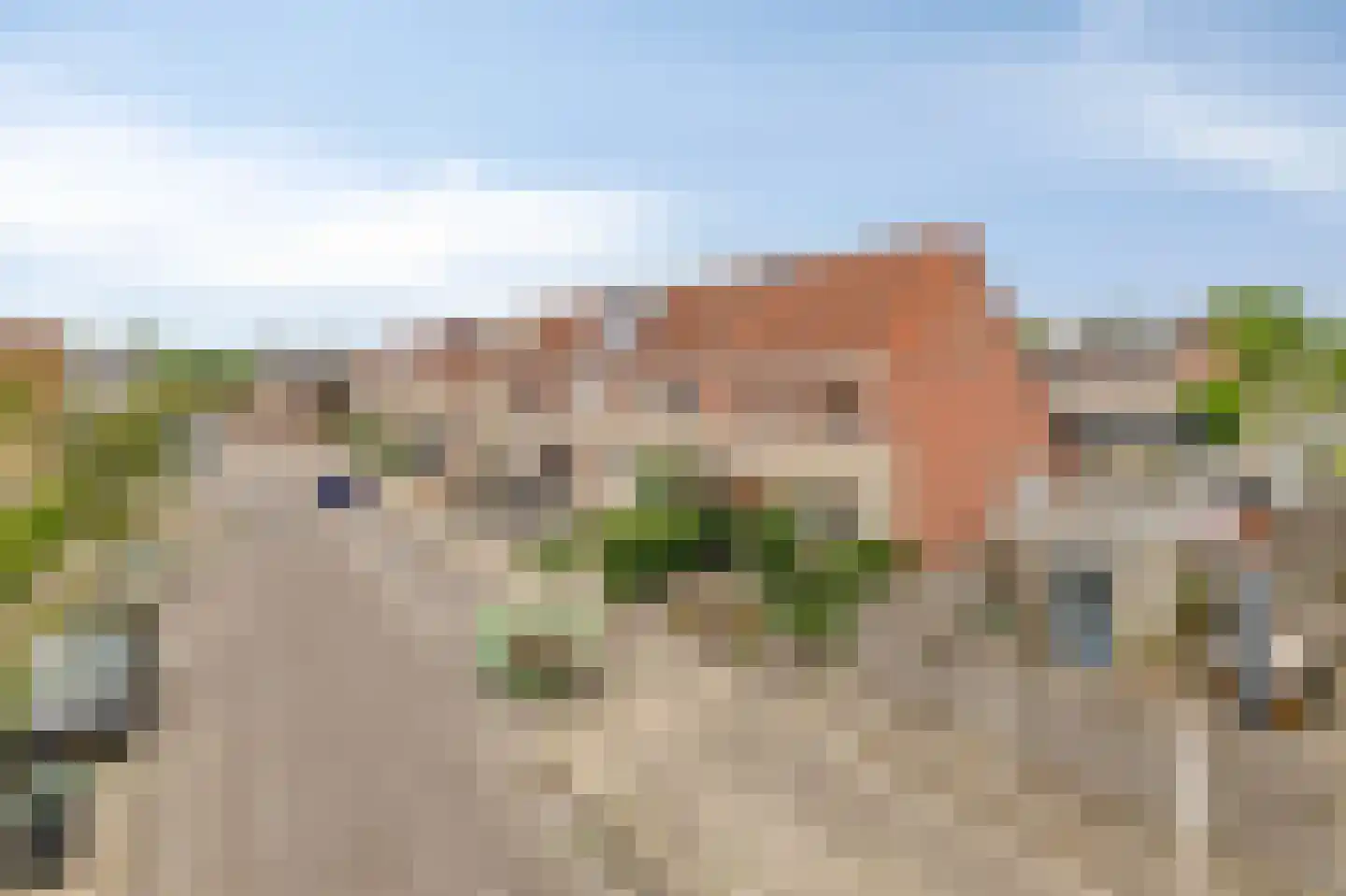 Grauwe Gans 42 Bergen op Zoom thumbnail 40